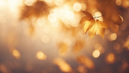 Poster - Lush blurred leaves in golden autumn