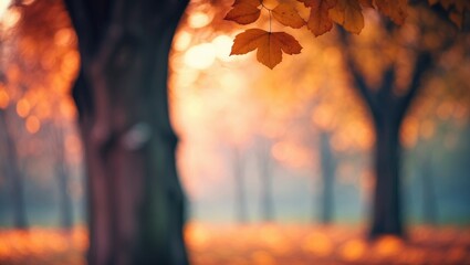 Poster - Outdoors with out-of-focus leaves and trees during fall