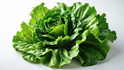 Poster - Raw organic lettuce leaf ready for meal preparation against white background