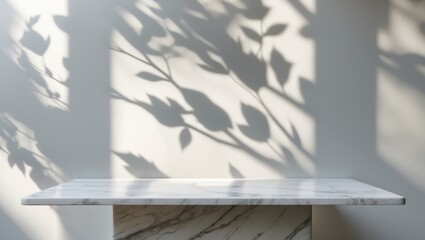 Poster - Display setup with white marble top and tree shadow background for product showcasing