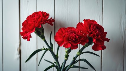 Aufkleber - Decorative white carnation flower on natural wood backdrop