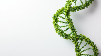 Poster - exploring the structure of dna with green leaves nature scene macro photography organic environment 