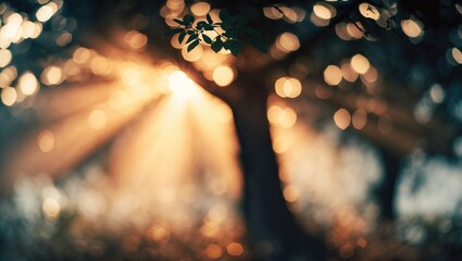 Poster - Golden beams of light filtering through trees in a blurred outdoor landscape