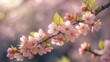 © AbstractAI - Blossoming flowers on a sunny spring day with blurred floral background
