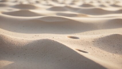 Poster - Tropical sand and beach texture backdrop
