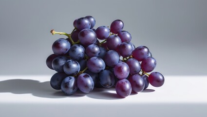 Aufkleber - Single dark blue grape on a plain background.