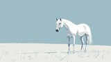 White horse, plain background