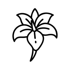 Poster - A drawing of a blossom with open petals and a bulbous base in simple black outline style design art
