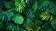 © fauziah - Lush tropical foliage background (2)