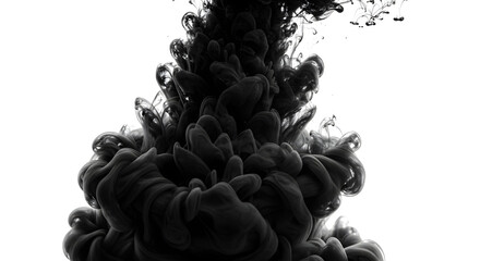 Poster - Abstract Black Ink Cloud Swirling Underwater on White Canvas