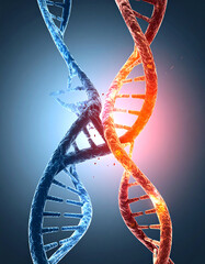 Poster - Abstract DNA strand with a blue and red helix, science and medicine concept. Represents genetics, biotechnology research and scientific innovation. Great for medical illustrations.