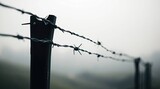 barbed wire fence, symbolizing boundaries and protection 