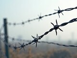 barbed wire fence, symbolizing boundaries and protection 