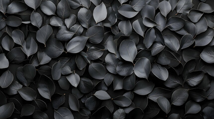 Wall Mural - dark leaves background texture; nature pattern for design