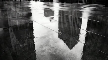 Poster - Urban Reflection in Rainy Pavement Black and White Photography