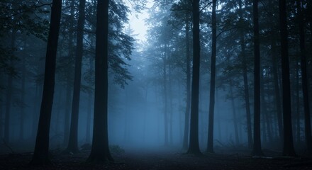  Mysterious foggy forest at dusk with tall trees and misty atmosphere