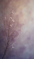 Leinwandbilder - Delicate Baby's Breath on Textured Pink and Purple Background for Romantic Still Life
