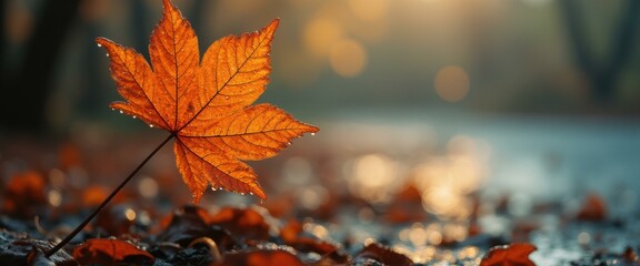 Poster - Vivid orange leaf with water droplets stands out among blurry autumnal foliage, exuding warmth and texture