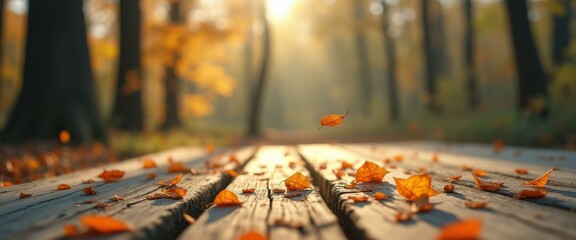 Poster - Tranquil Autumnal Scene: Golden Leaves on Wooden Deck in Forest with Soft Sunlight