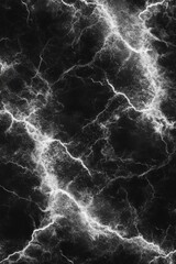 Poster - Abstract Black and White Veins Texture Background Overhead Shot for Graphic Design and Wallpaper Use