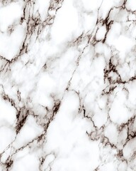 Poster - Elegant white marble texture with dark veins close up shot for background or surface design material