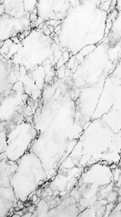 Poster - Elegant white marble texture with dark veins close up shot for backgrounds and design elements