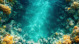  top-down view of colorful coral reef system 