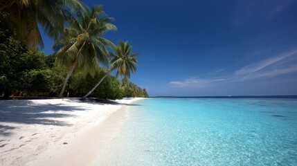 Poster - Palm trees lean gracefully above a picturesque beach, where soft white sand meets tranquil turquoise waves under a clear, bright blue sky