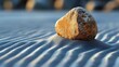 © iam - A tranquil stone balanced on rippled beach sand.