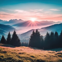 Wall Mural - Sunrise Over Misty Mountain Valley with Pine Trees and Golden Meadow Landscape View in Scenic Alps