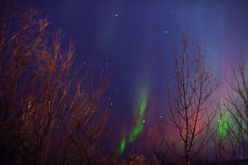 Wall Mural - aurora borealis, polar lights with milky way stars.