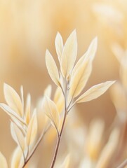 Poster - Golden leaves close up on branch against soft background in warm light for botanical nature photography with shallow depth of field