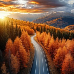 Wall Mural - Aerial view of winding road through golden autumn forest at sunset in mountain landscape scenic drive