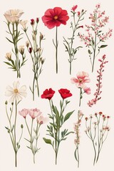 Poster - Botanical Illustration of Assorted Wildflowers on Beige Background Delicate Floral Arrangement Artistic Composition