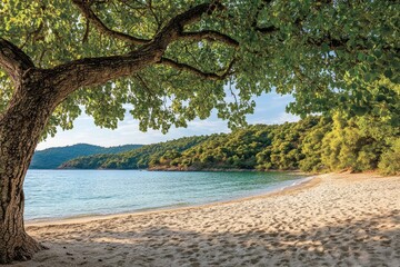 Fototapete - Tranquil beach scene under a lush canopy (1)