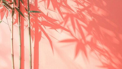 Poster - Bamboo shadows casting on coral wall indoor setting photography minimalist design close-up view natural aesthetics