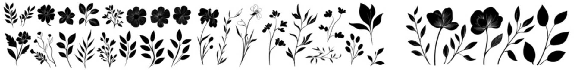 Poster - modern abstract flowers and leaves, rendered in black ink, are isolated on a clean white background