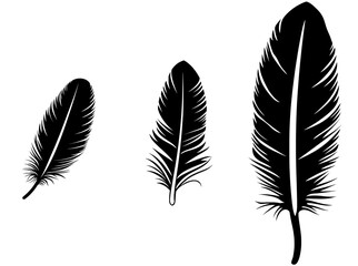 Poster - The image features a yellow feather silhouette, a calligraphy logo, and a quill icon