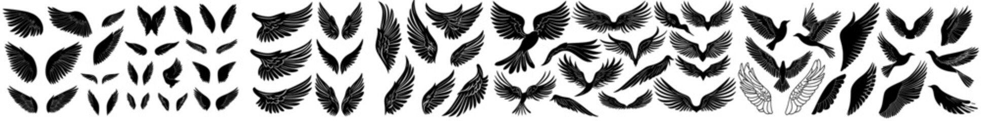 Poster - Black silhouettes of bird wings are visible, showcasing different shapes and plumage in isolated wing drawings and winged graphics set against a white background