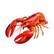 © Sarocha - Lobster is popular seafood known for its rich flavor and tender meat. This vibrant red crustacean is often associated with gourmet dishes and coastal cuisine, evoking sense of indulgence