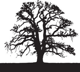  Tree SVG – Nature Silhouettes for Crafts, Wall Art & Logos

Forest Tree Clipart – Pine, Oak, and Seasonal Designs for DIY Projects

Minimal Tree Silhouette – Clean Nature Art for Stickers & Decor

Tre