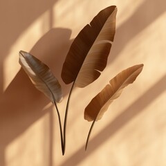 Poster - Banana Leaves Against Warm Wall with Window Light Casting Shadows Still Life Tropical Aesthetic Minimalist Art