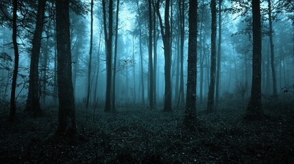  A deep forest with ghostly apparitions at dusk