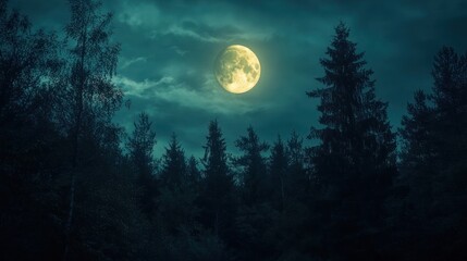 Wall Mural - a glowing full moon casting eerie light over the forest