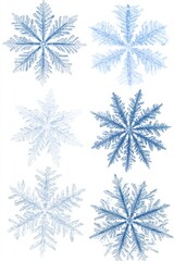 Poster - Six Blue Snowflakes on White Background Winter Season Holiday Theme Flat Lay Top Down View