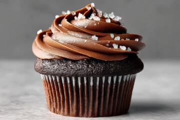 Poster - Decadent chocolate cupcake topped with rich frosting and sparkling sugar
