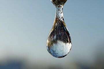 Poster - Water droplet reflecting nature against a clear sky during golden hour