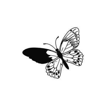 black butterfly silhouette stylized minimalist Logo Design Vector Backgrounds