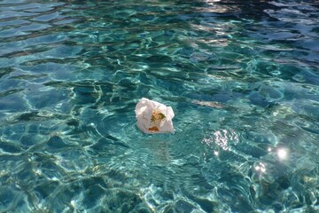 Poster - Paper waste floats in clear swimming pool water during sunny afternoon