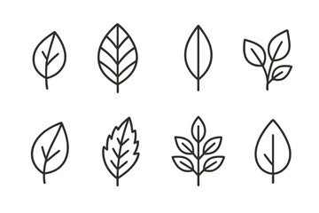 Poster - Variety of leaf vector icons showcasing different shapes for nature-themed designs and illustrations